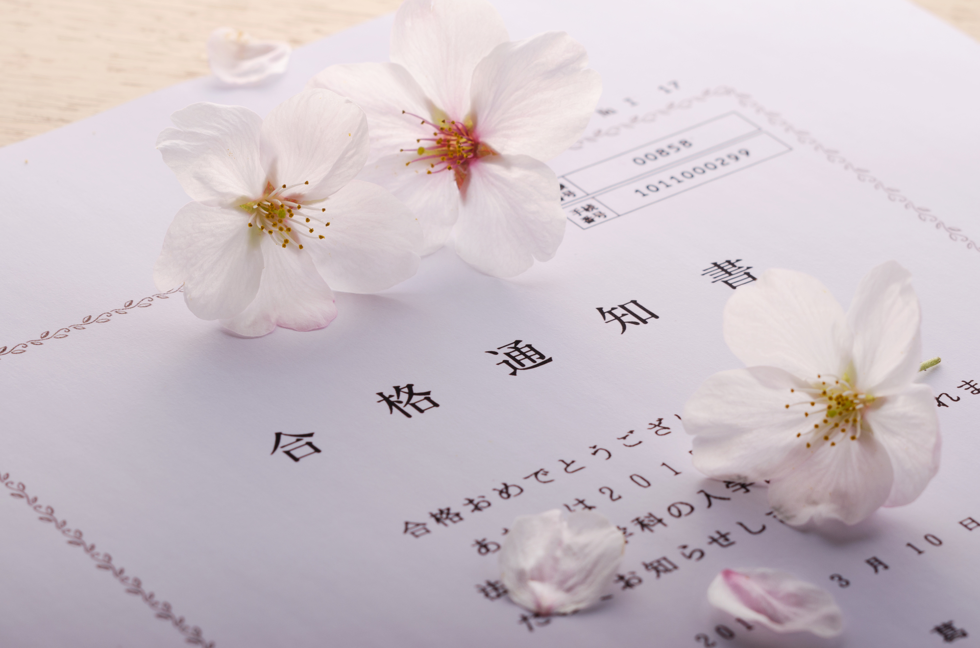 合格保証